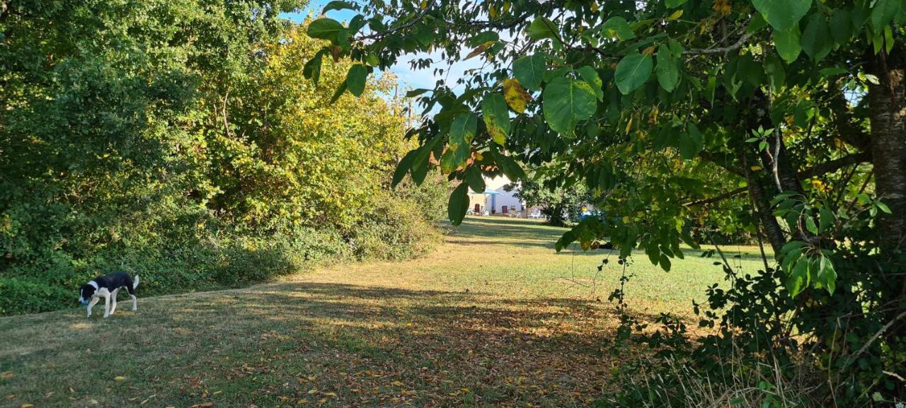 Bed and Breakfast Le Coq En Repos Saint-Sylvestre-sur-Lot Exterior foto
